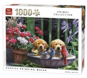 King – Puppies drinking water – 1000 bitar
