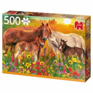 Hästar i hagen – 500 bitar