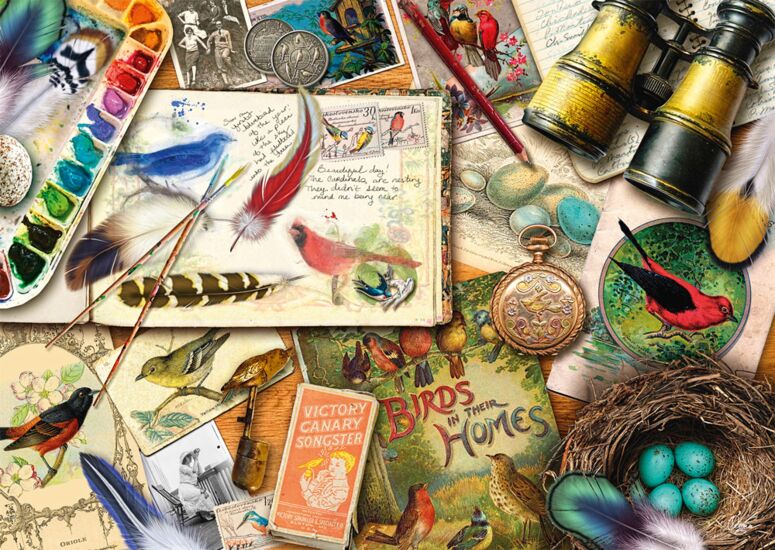 Schmidt - Fågelskådning - 1000 bitar