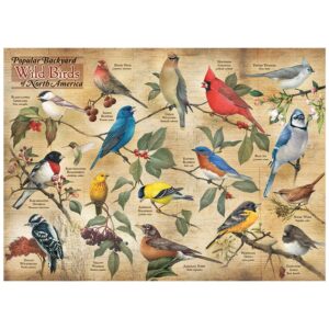 Cobble Hill – Popular Backyard Wild Birds – 1000 bitar