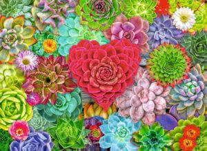 Ravensburger – Succulent Love – 500 bitar