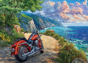 Cobble Hill – Arrived – 500 bitar